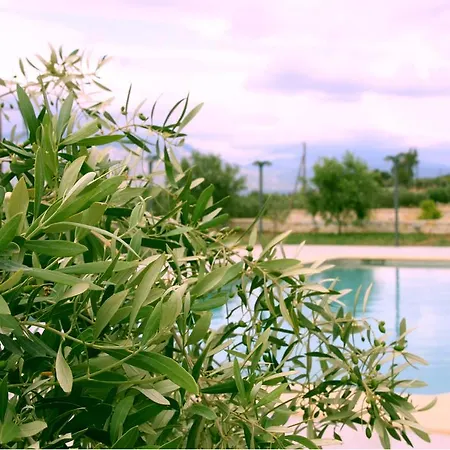 Petra Luxury And Апартаменты