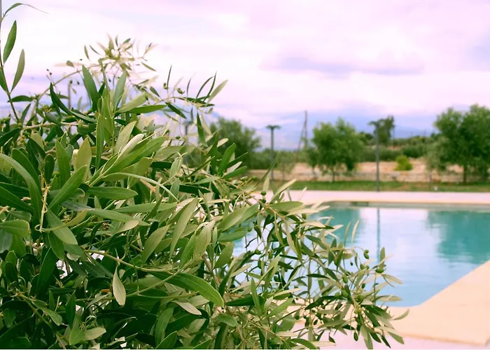 Petra Luxury And アパート